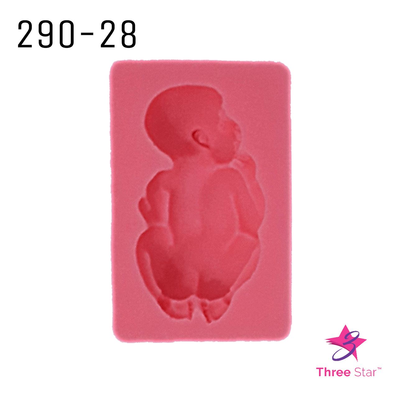 Silicon Mold 28